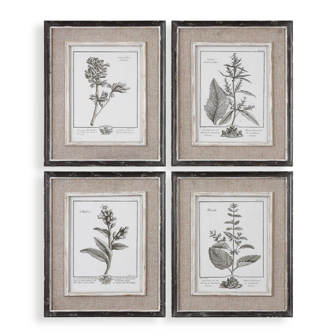 American Home Furniture Uttermost Casual Grey Study Framed Art Set/4