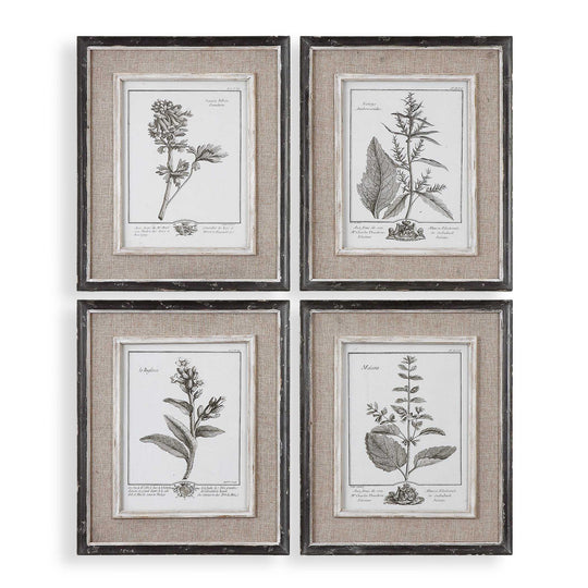 American Home Furniture Uttermost Casual Grey Study Framed Art Set/4