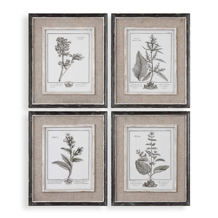American Home Furniture Uttermost Casual Grey Study Framed Art Set/4