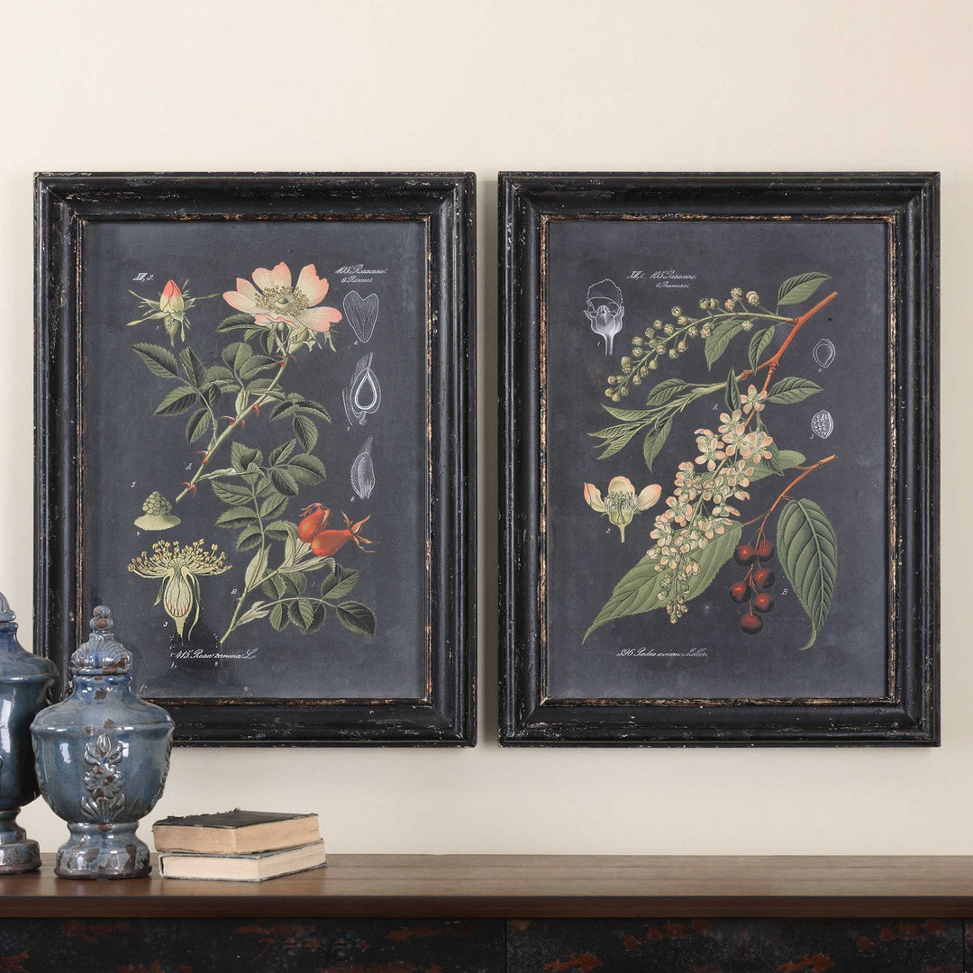 American Home Furniture Uttermost Midnight Botanicals Wall Art Set of 2