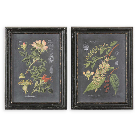 American Home Furniture Uttermost Midnight Botanicals Wall Art Set of 2