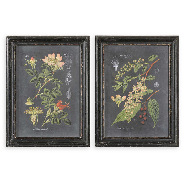 American Home Furniture Uttermost Midnight Botanicals Wall Art Set of 2