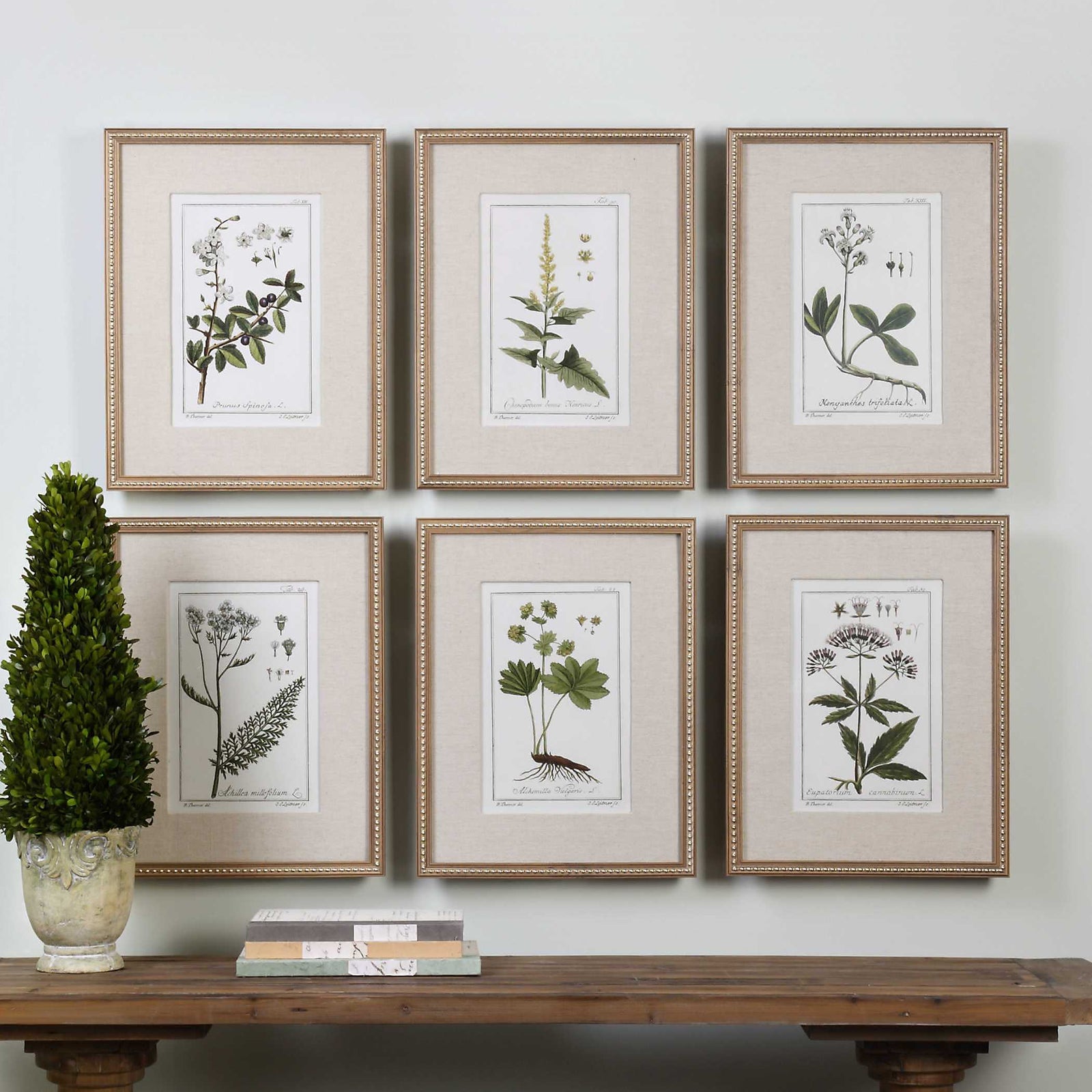 American Home Furniture Uttermost Green Floral Botanical Study Prints Set of 6
