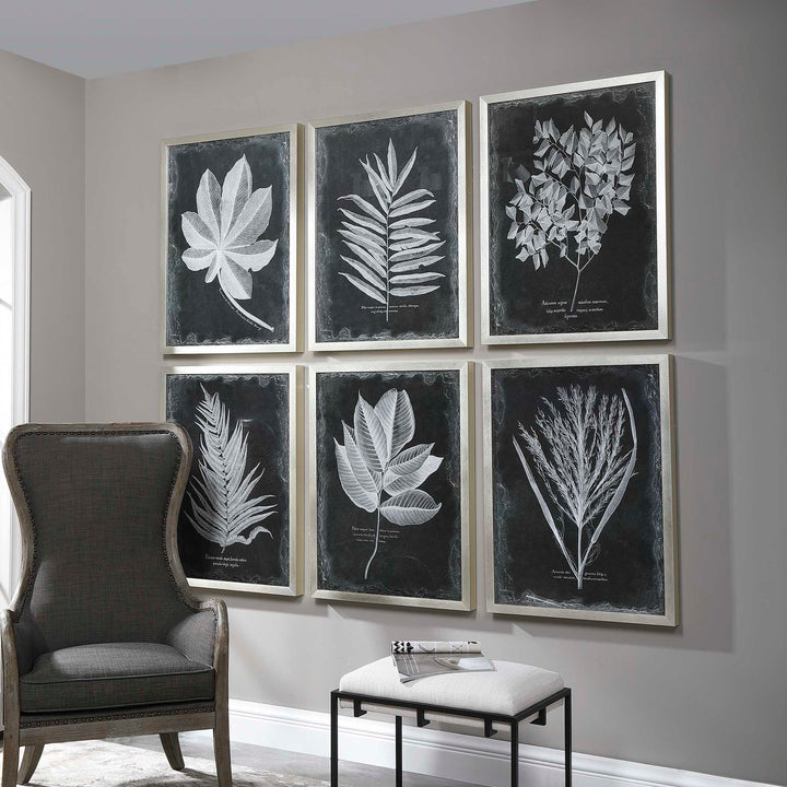 American Home Furniture Uttermost Foliage Framed Prints, Set of 6
