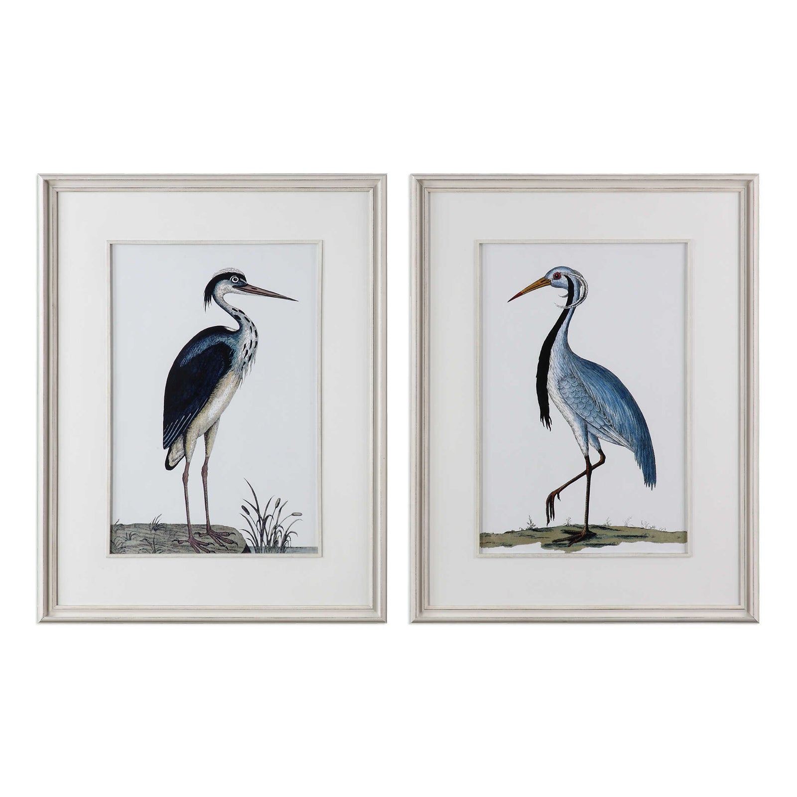 American Home Furniture Uttermost Shore Birds Framed Prints Set of 2