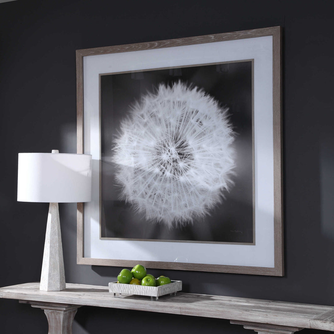 American Home Furniture Uttermost Dandelion Seedhead Framed Print