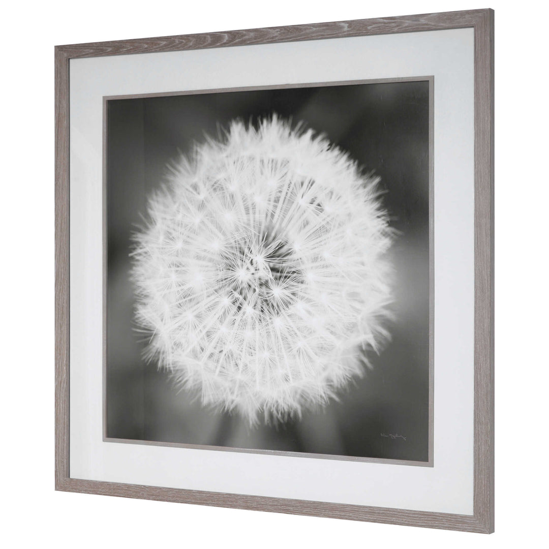 American Home Furniture Uttermost Dandelion Seedhead Framed Print