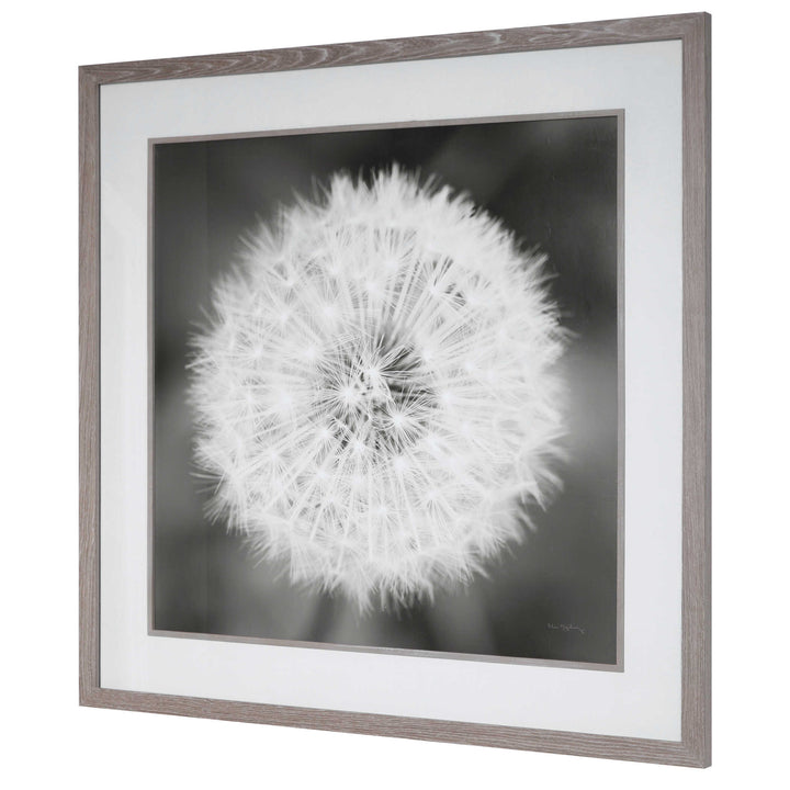 American Home Furniture Uttermost Dandelion Seedhead Framed Print