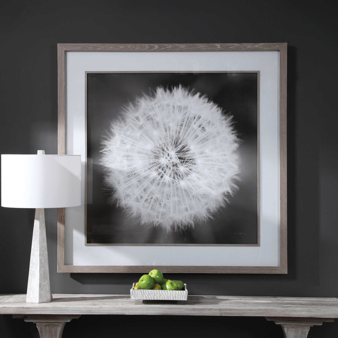 American Home Furniture Uttermost Dandelion Seedhead Framed Print