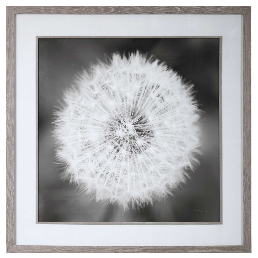American Home Furniture Uttermost Dandelion Seedhead Framed Print