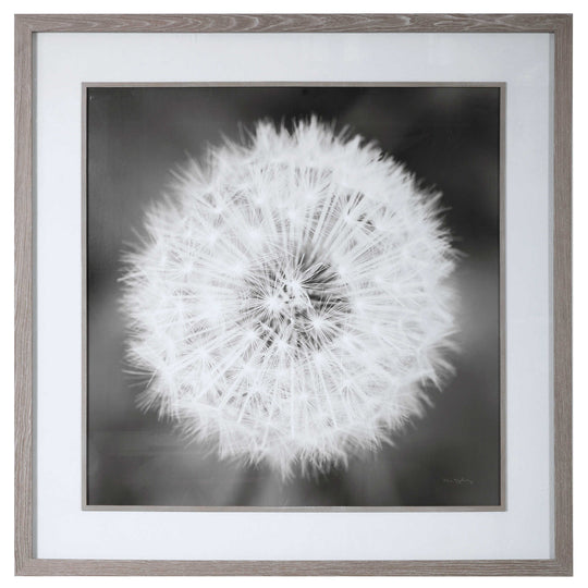 American Home Furniture Uttermost Dandelion Seedhead Framed Print
