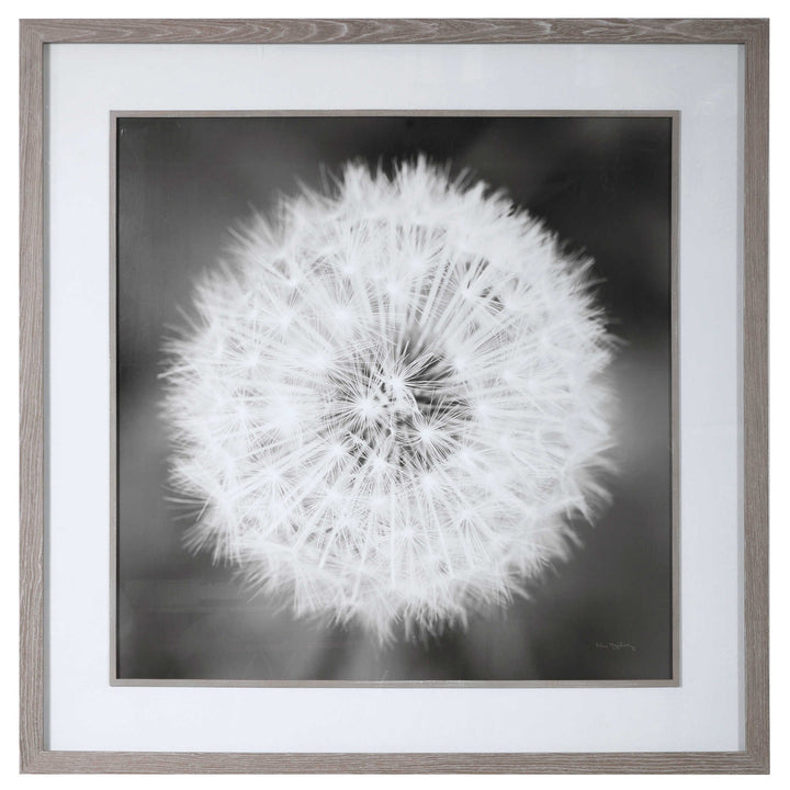 American Home Furniture Uttermost Dandelion Seedhead Framed Print