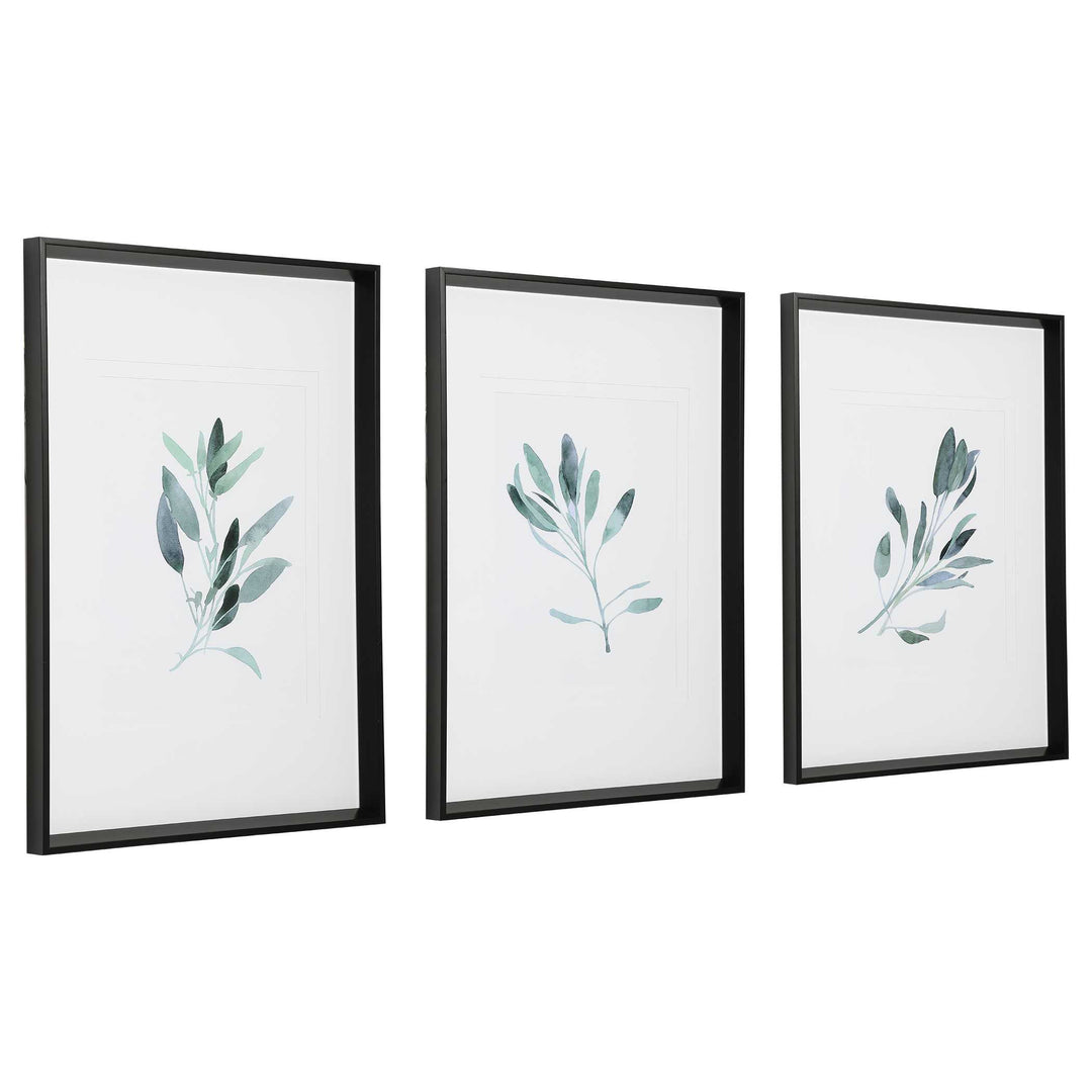 American Home Furniture Uttermost Simple Sage Watercolor Prints, Set of 3