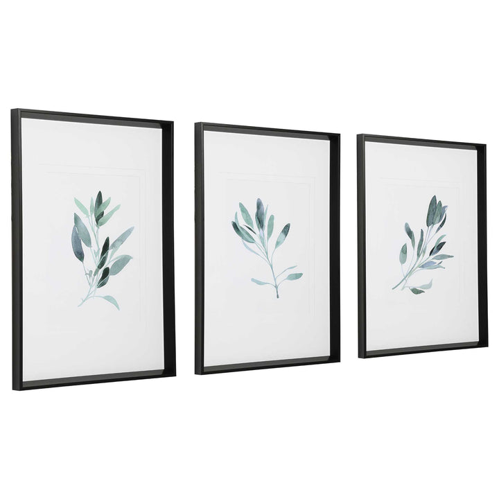 American Home Furniture Uttermost Simple Sage Watercolor Prints, Set of 3