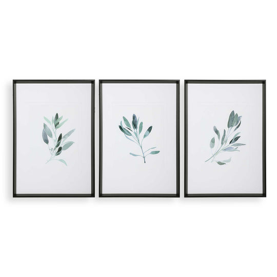 American Home Furniture Uttermost Simple Sage Watercolor Prints, Set of 3