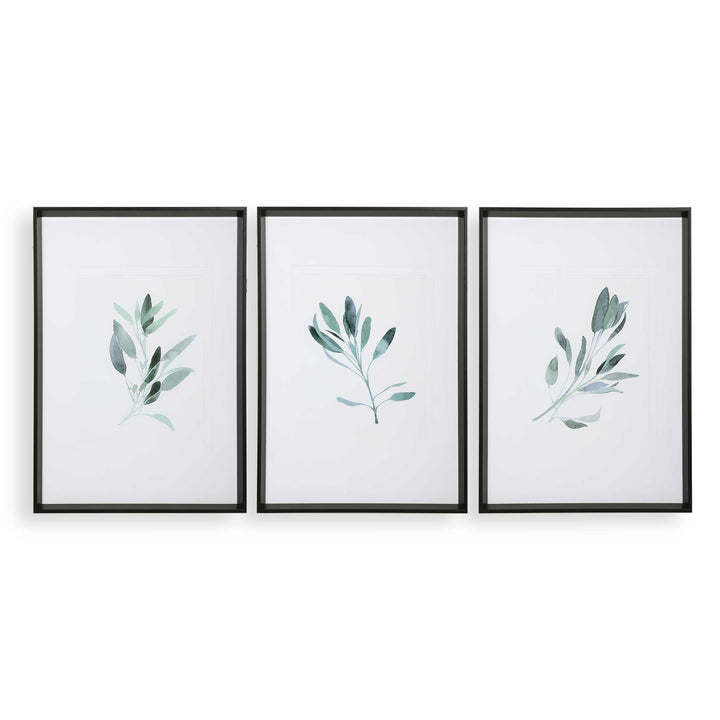 American Home Furniture Uttermost Simple Sage Watercolor Prints, Set of 3