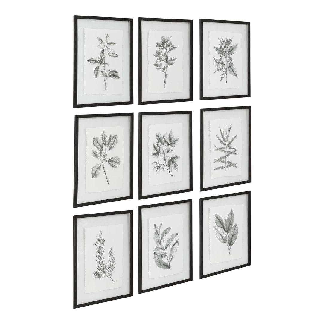 American Home Furniture Uttermost Farmhouse Florals Framed Prints, Set of 9