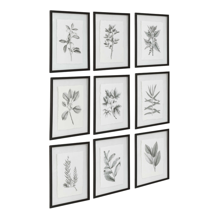 American Home Furniture Uttermost Farmhouse Florals Framed Prints, Set of 9