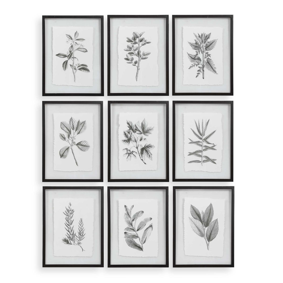 American Home Furniture Uttermost Farmhouse Florals Framed Prints, Set of 9