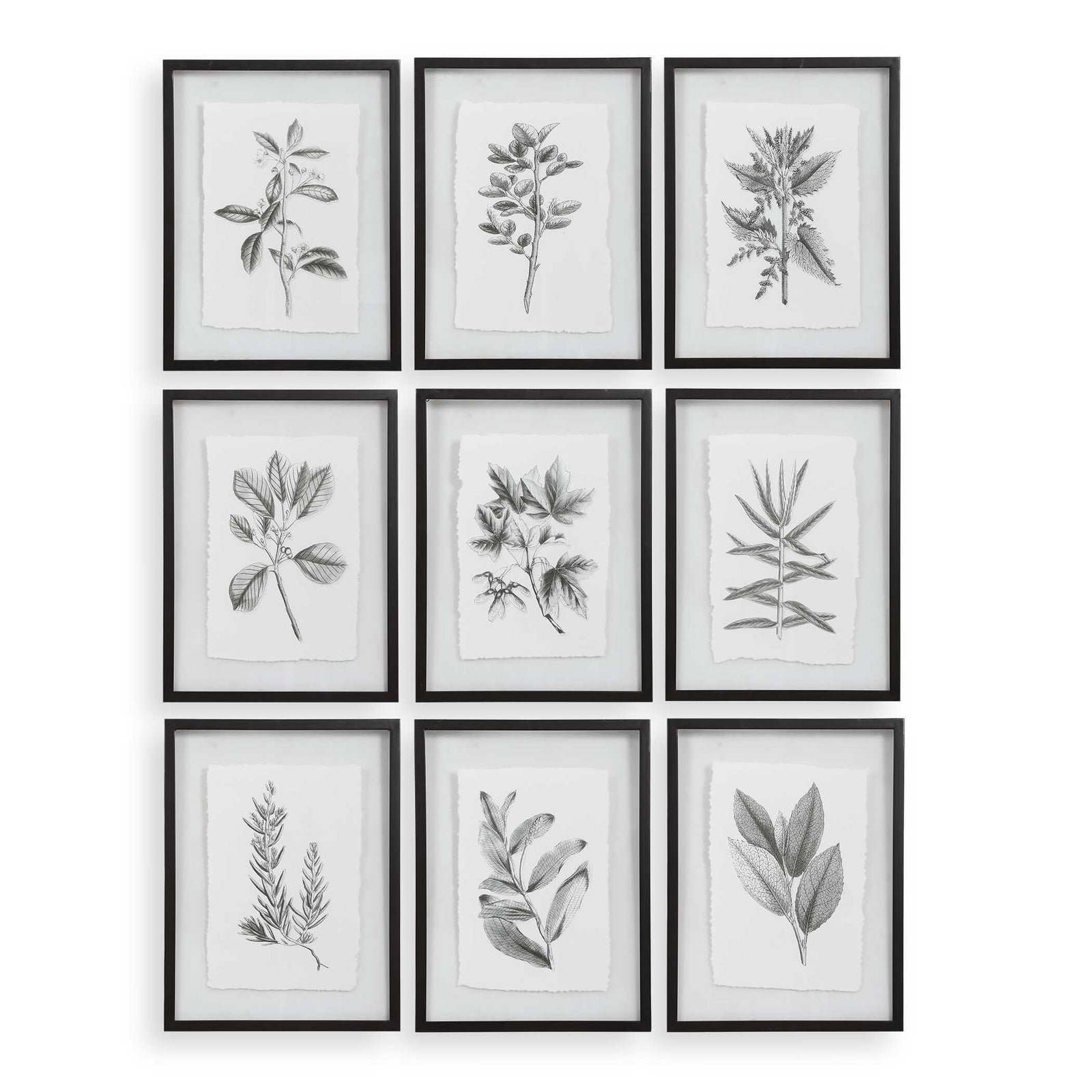 American Home Furniture Uttermost Farmhouse Florals Framed Prints, Set of 9