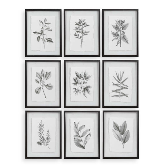 American Home Furniture Uttermost Farmhouse Florals Framed Prints, Set of 9