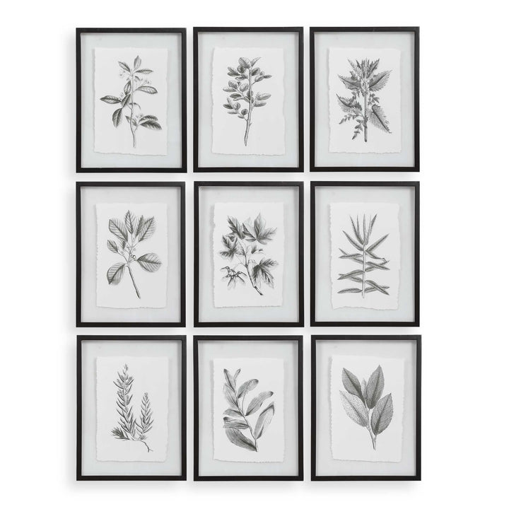 American Home Furniture Uttermost Farmhouse Florals Framed Prints, Set of 9