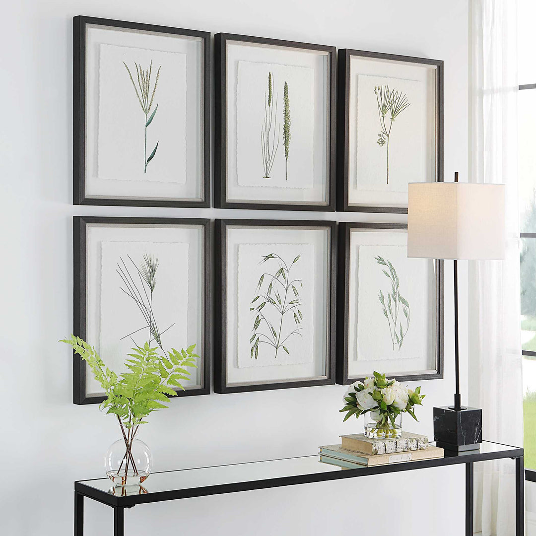 American Home Furniture Uttermost Forest Finds Framed Prints Set of 6
