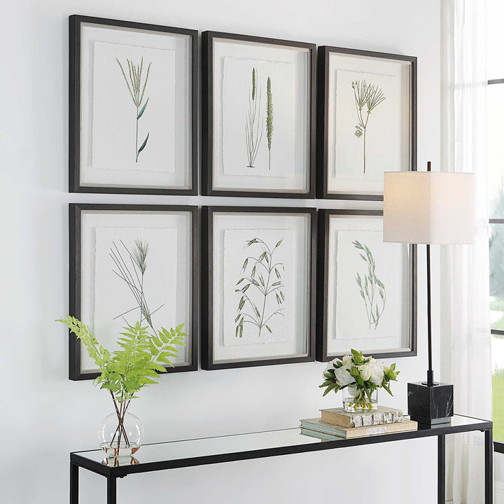 American Home Furniture Uttermost Forest Finds Framed Prints Set of 6