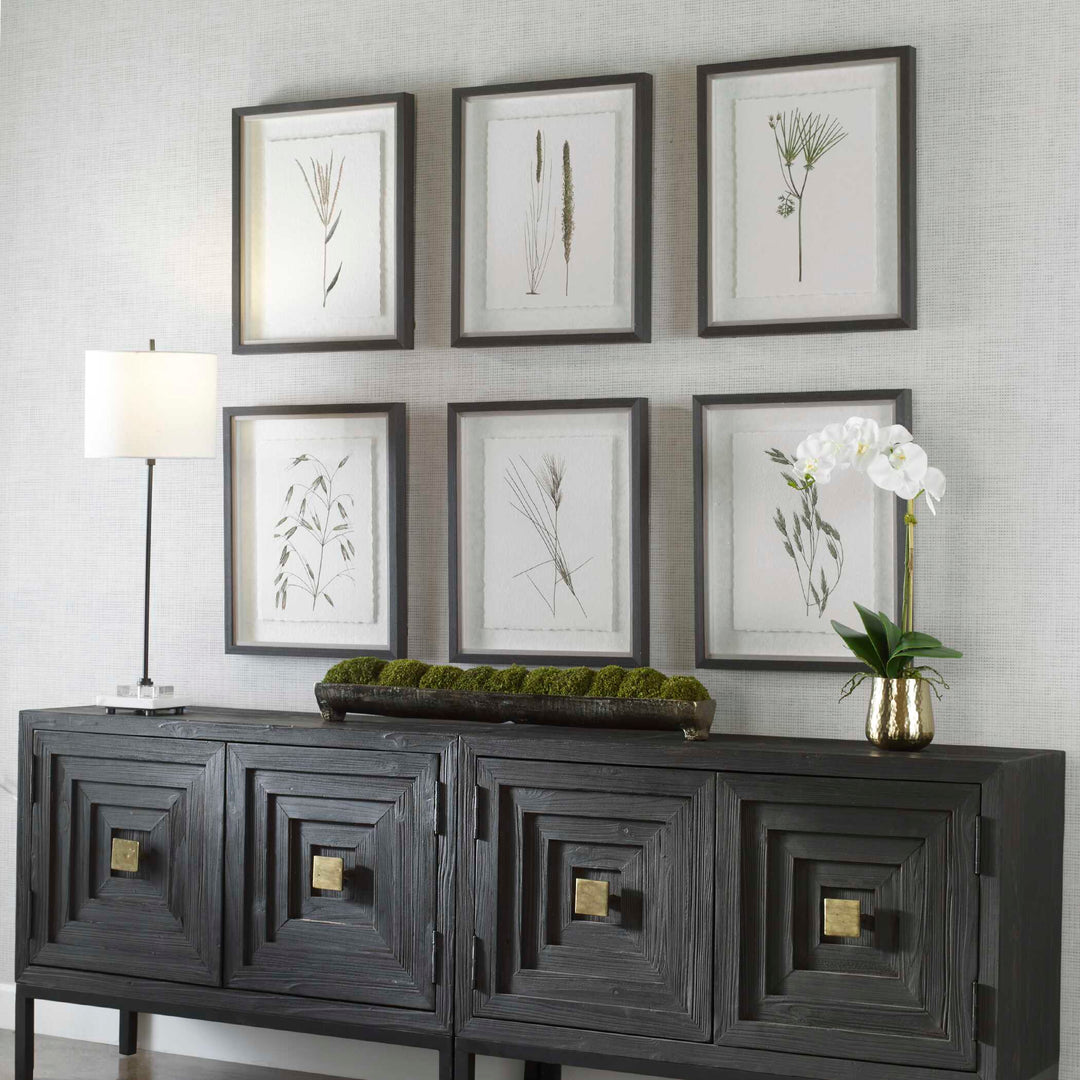 American Home Furniture Uttermost Forest Finds Framed Prints Set of 6