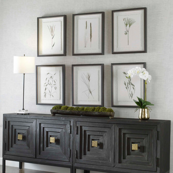 American Home Furniture Uttermost Forest Finds Framed Prints Set of 6