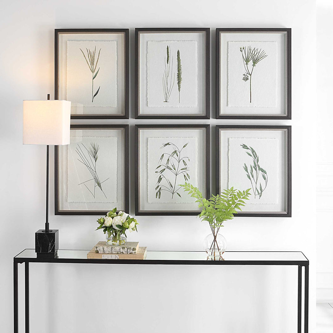 American Home Furniture Uttermost Forest Finds Framed Prints Set of 6