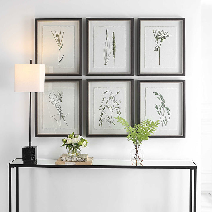 American Home Furniture Uttermost Forest Finds Framed Prints Set of 6