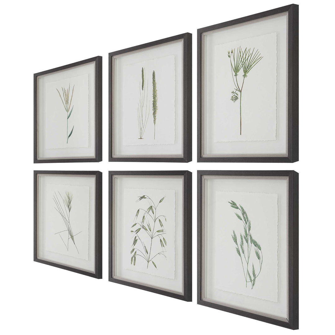 American Home Furniture Uttermost Forest Finds Framed Prints Set of 6