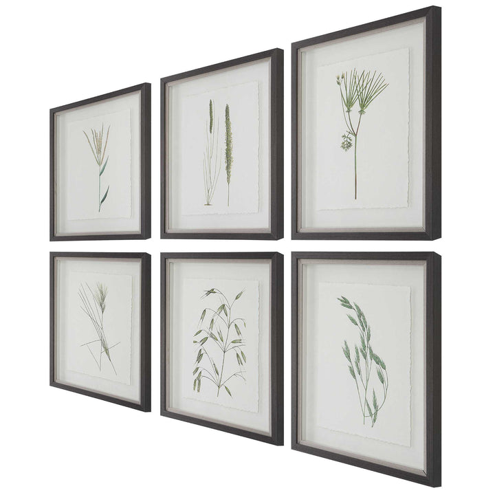 American Home Furniture Uttermost Forest Finds Framed Prints Set of 6