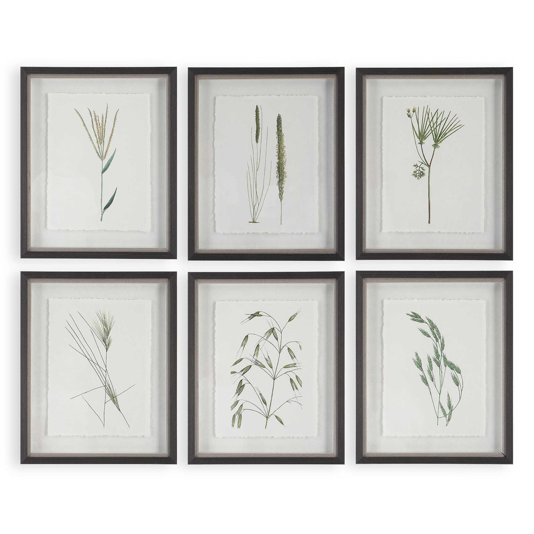 American Home Furniture Uttermost Forest Finds Framed Prints Set of 6