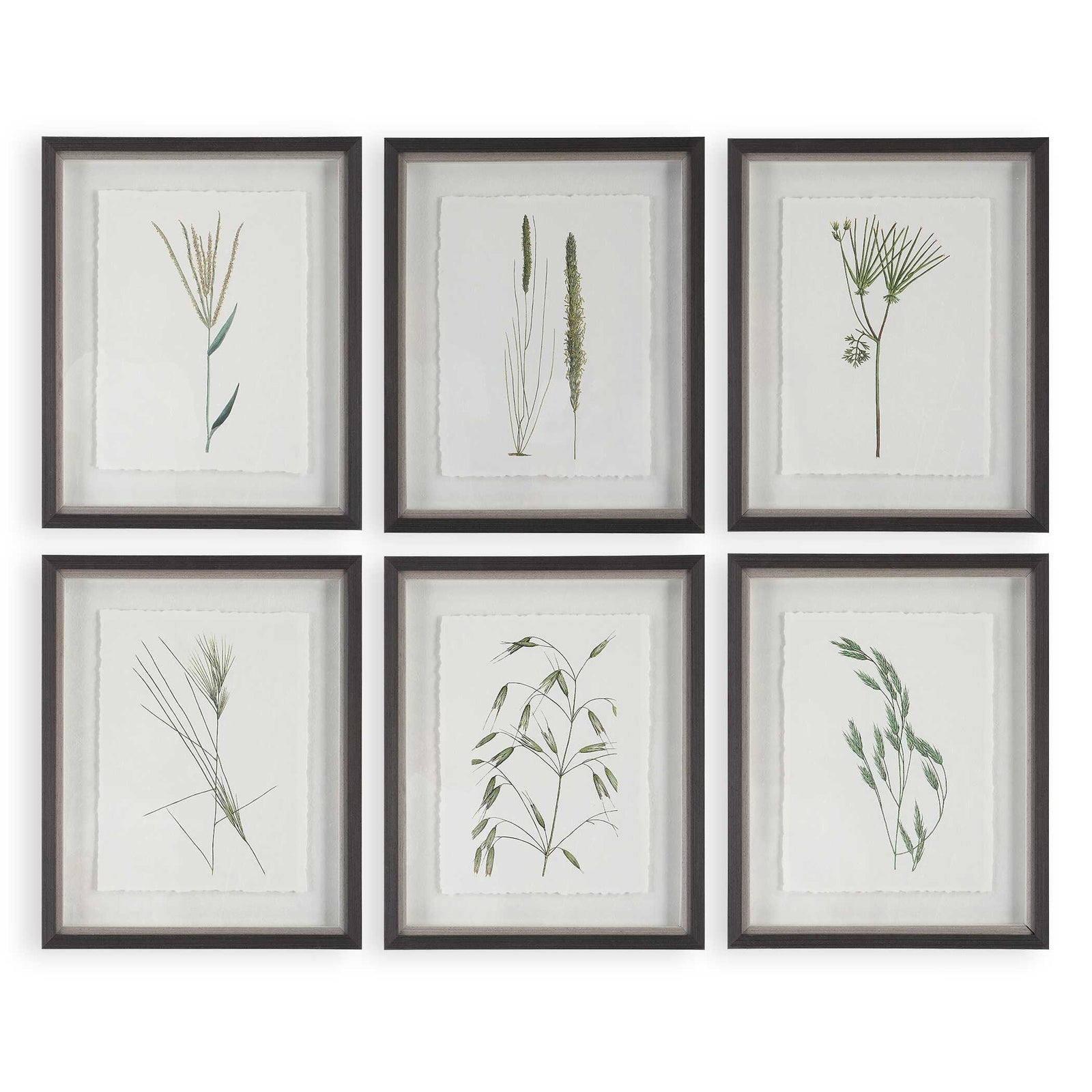 American Home Furniture Uttermost Forest Finds Framed Prints Set of 6