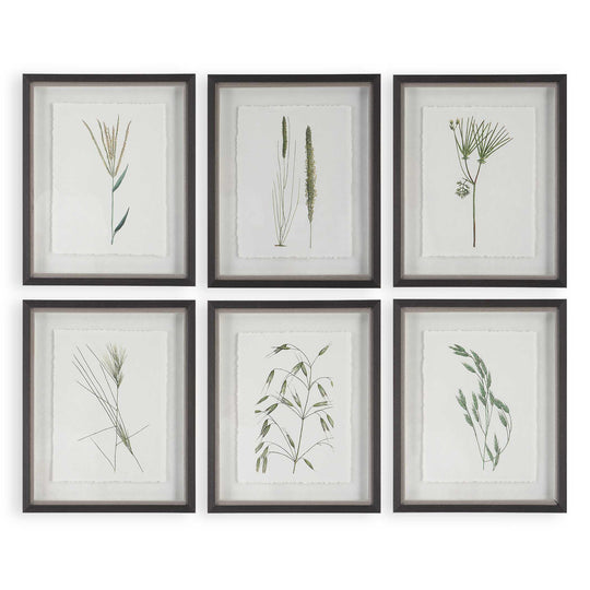 American Home Furniture Uttermost Forest Finds Framed Prints Set of 6