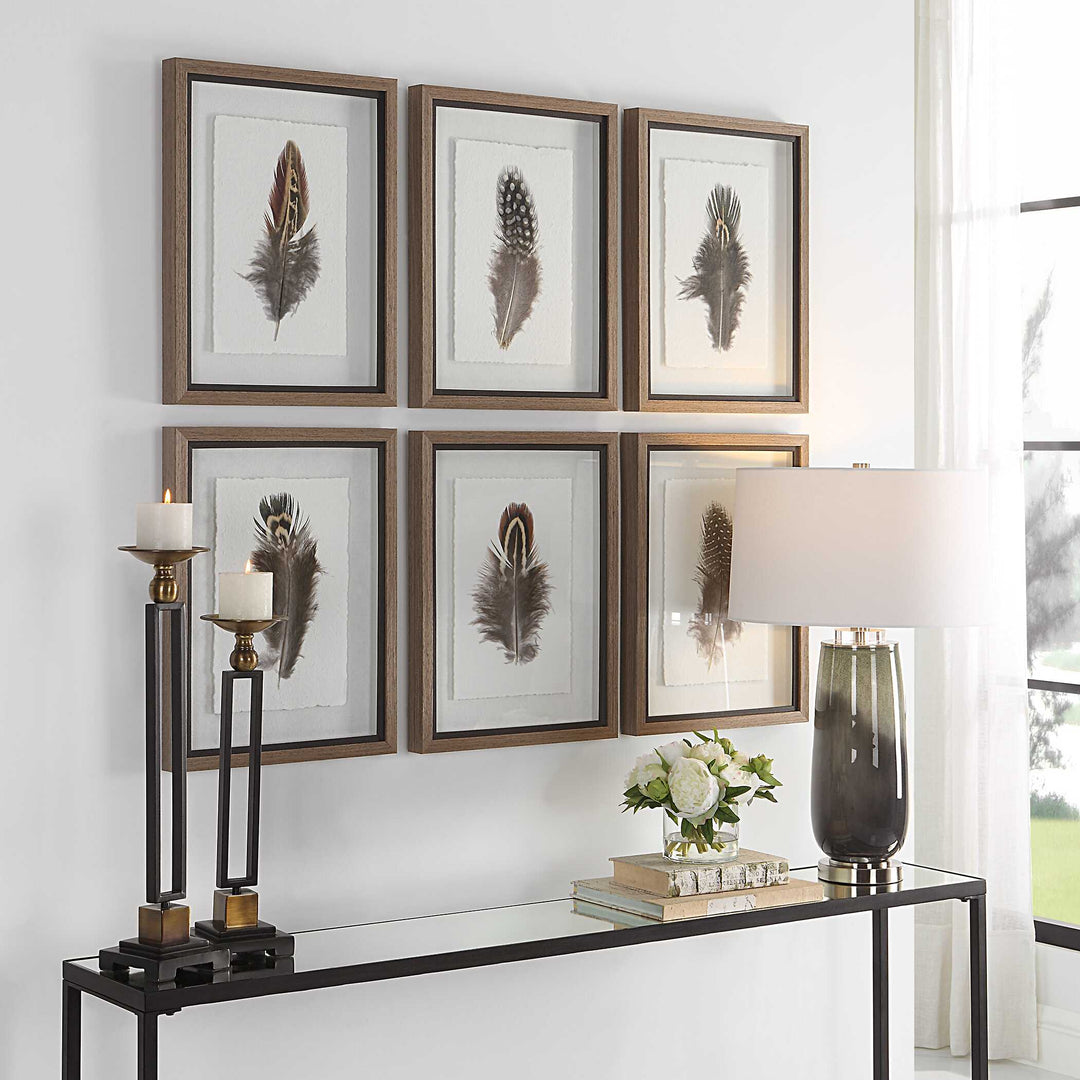 American Home Furniture Uttermost Birds Of A Feather Framed Prints Set of 6