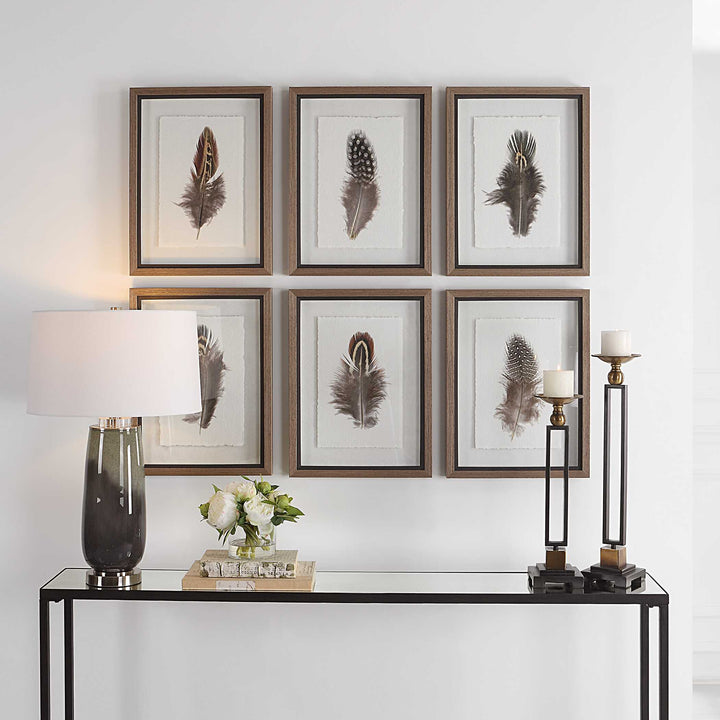 American Home Furniture Uttermost Birds Of A Feather Framed Prints Set of 6