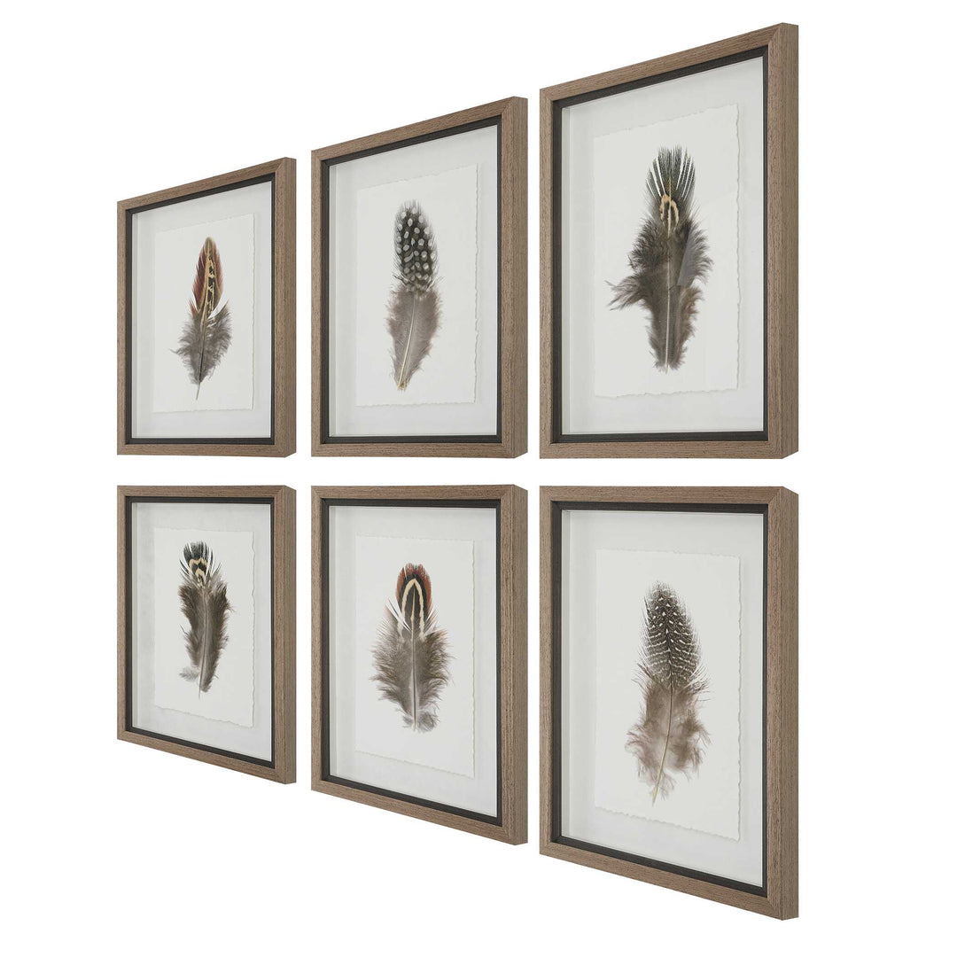 American Home Furniture Uttermost Birds Of A Feather Framed Prints Set of 6