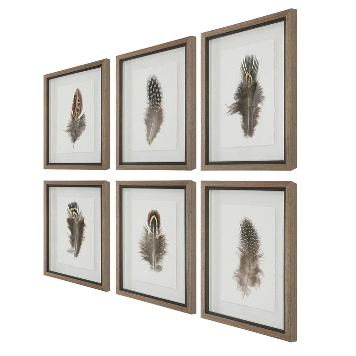 American Home Furniture Uttermost Birds Of A Feather Framed Prints Set of 6