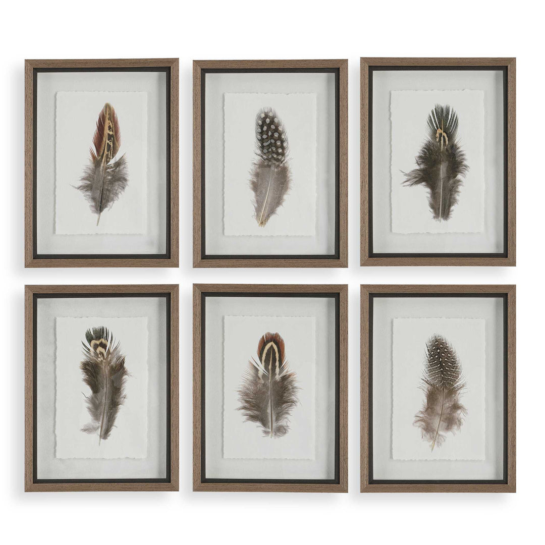American Home Furniture Uttermost Birds Of A Feather Framed Prints Set of 6