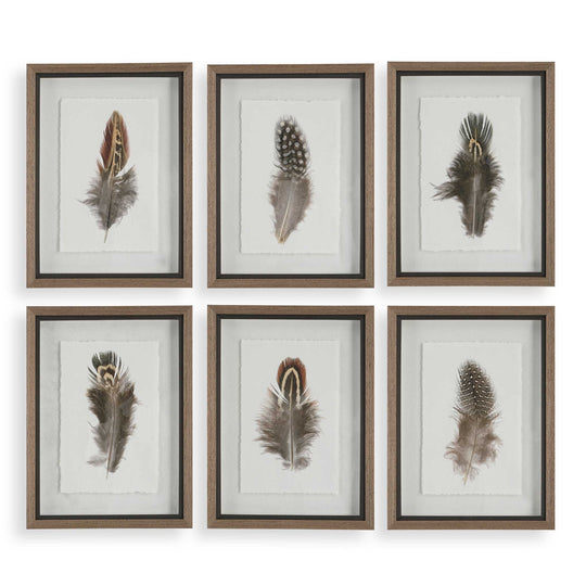 American Home Furniture Uttermost Birds Of A Feather Framed Prints Set of 6