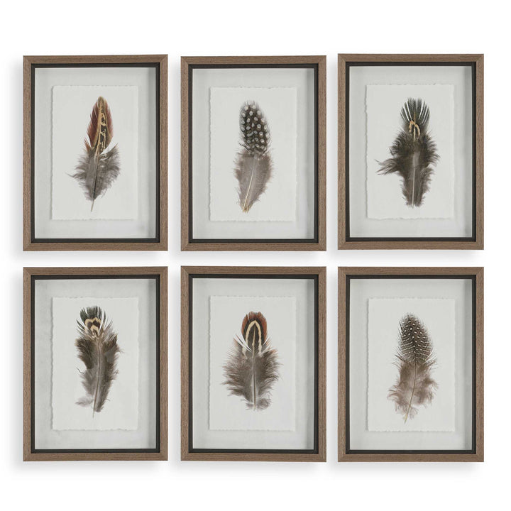 American Home Furniture Uttermost Birds Of A Feather Framed Prints Set of 6