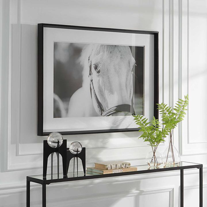 American Home Furniture Uttermost Eyes On The Prize Framed Print