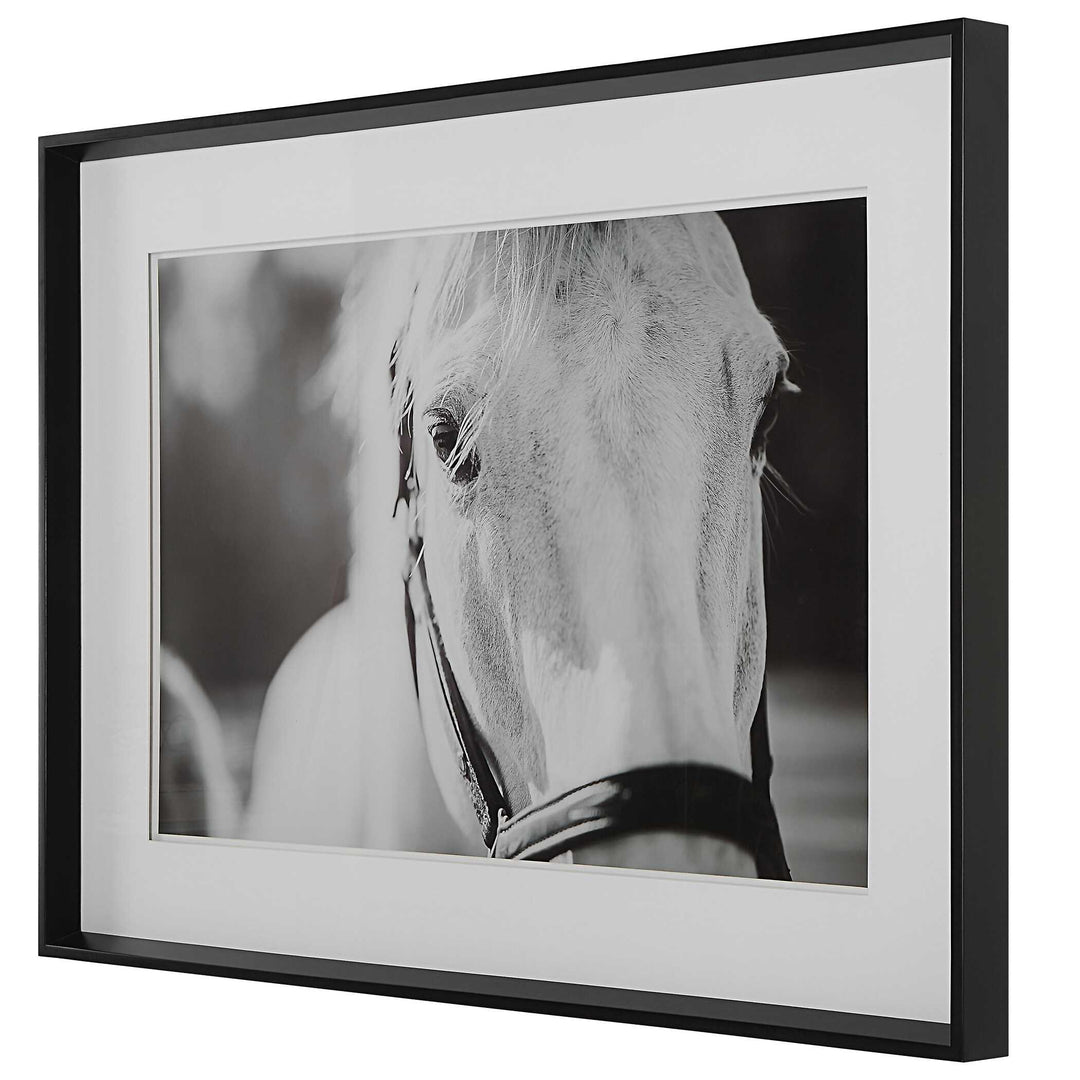 American Home Furniture Uttermost Eyes On The Prize Framed Print