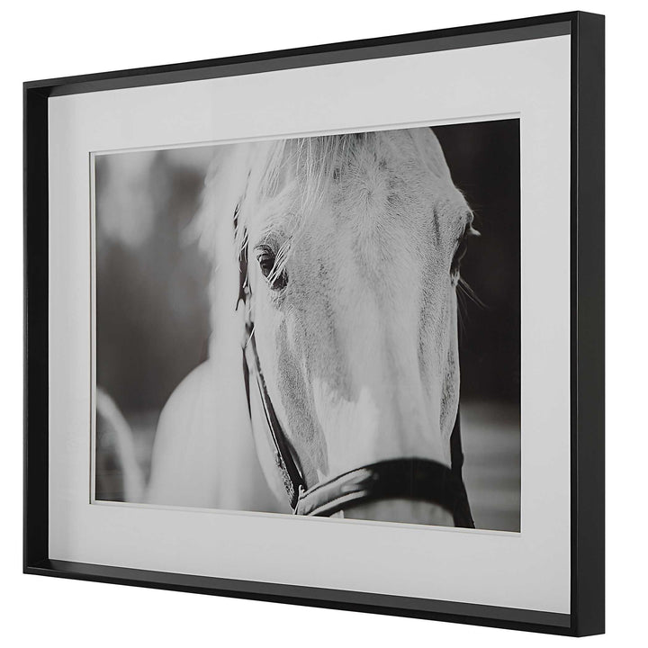 American Home Furniture Uttermost Eyes On The Prize Framed Print