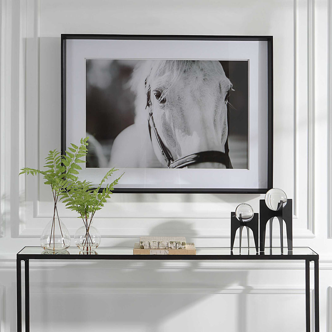 American Home Furniture Uttermost Eyes On The Prize Framed Print