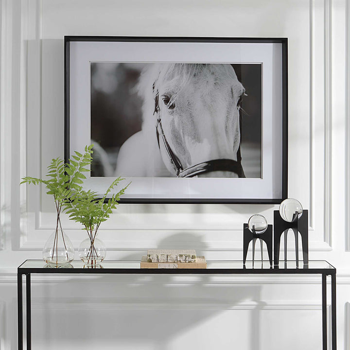 American Home Furniture Uttermost Eyes On The Prize Framed Print