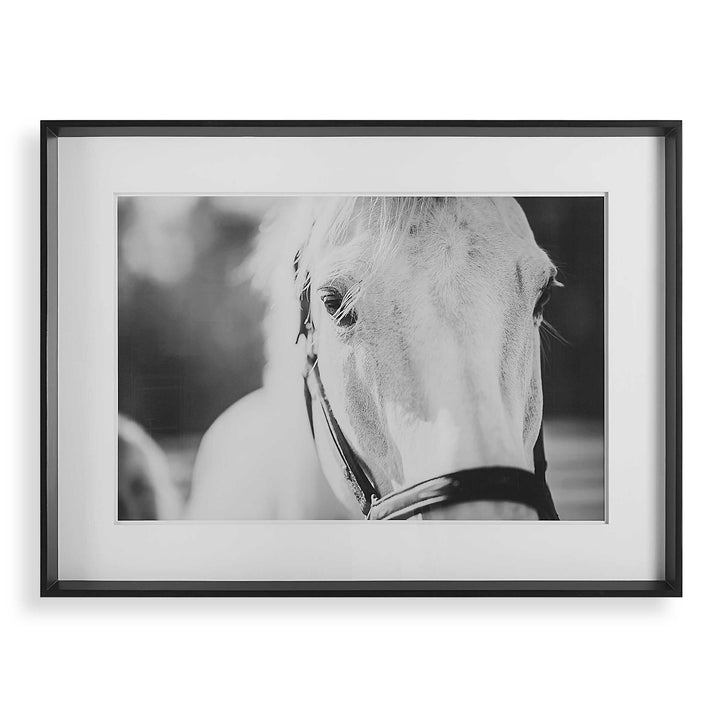 American Home Furniture Uttermost Eyes On The Prize Framed Print